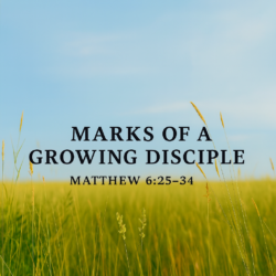 Marks of a Growing Disciple (Matthew 6:25-34)