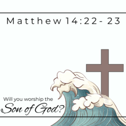 Will You Worship the Son of God? (Matthew 14:22-33)