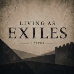 Joy in Suffering (1 Peter 1:6-9)